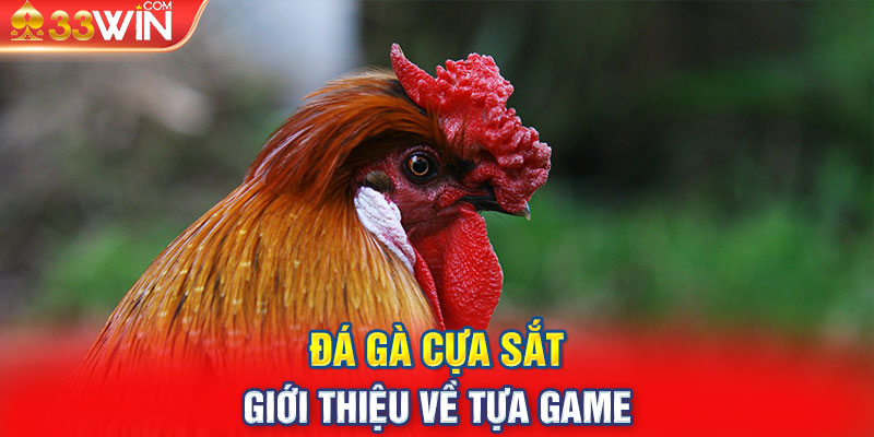 Đá gà cựa sắt - Giới thiệu về tựa game 