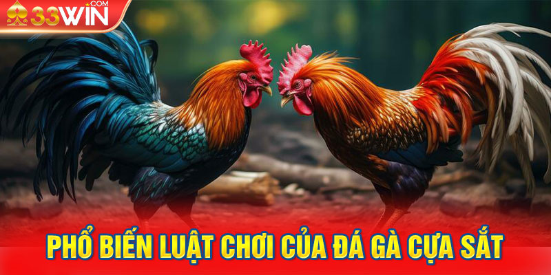 Phổ biến luật chơi của đá gà cựa sắt